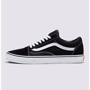 Vans old skool shoe